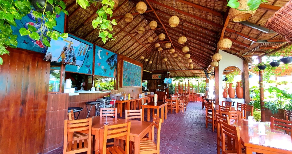 The 15 Best Mexican Restaurants in Silver Spring, MD